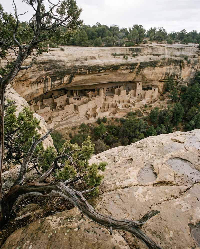 Mesa Verde